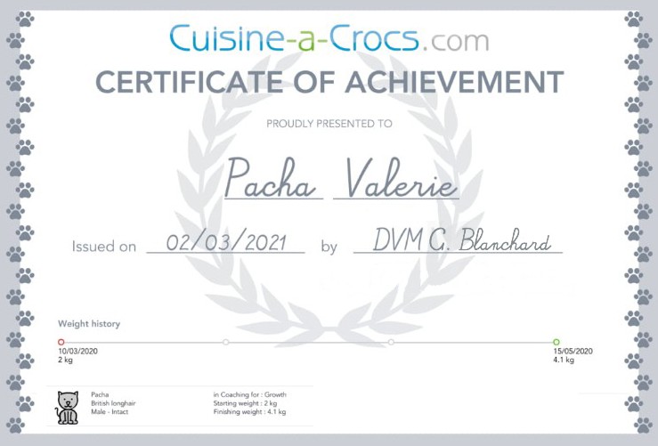 growth coaching certificate